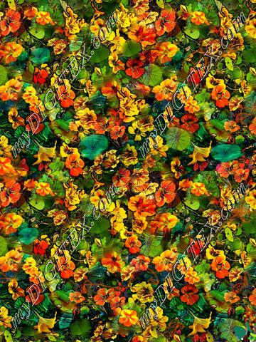 nasturtium design tiled_180613_75TD