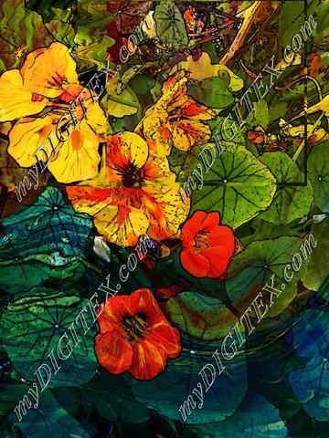 marbled nasturtium print300