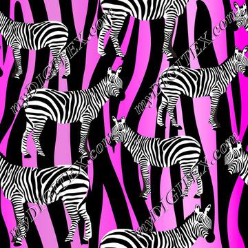 zebraonstripepink