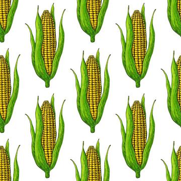 Corn